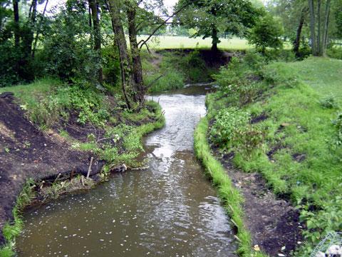 Troy, Michigan - Streambank Stabilization - July 4, 2003