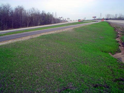 Port Huron, Michigan - Compost Blanket Application - AFTER - 4/7/04